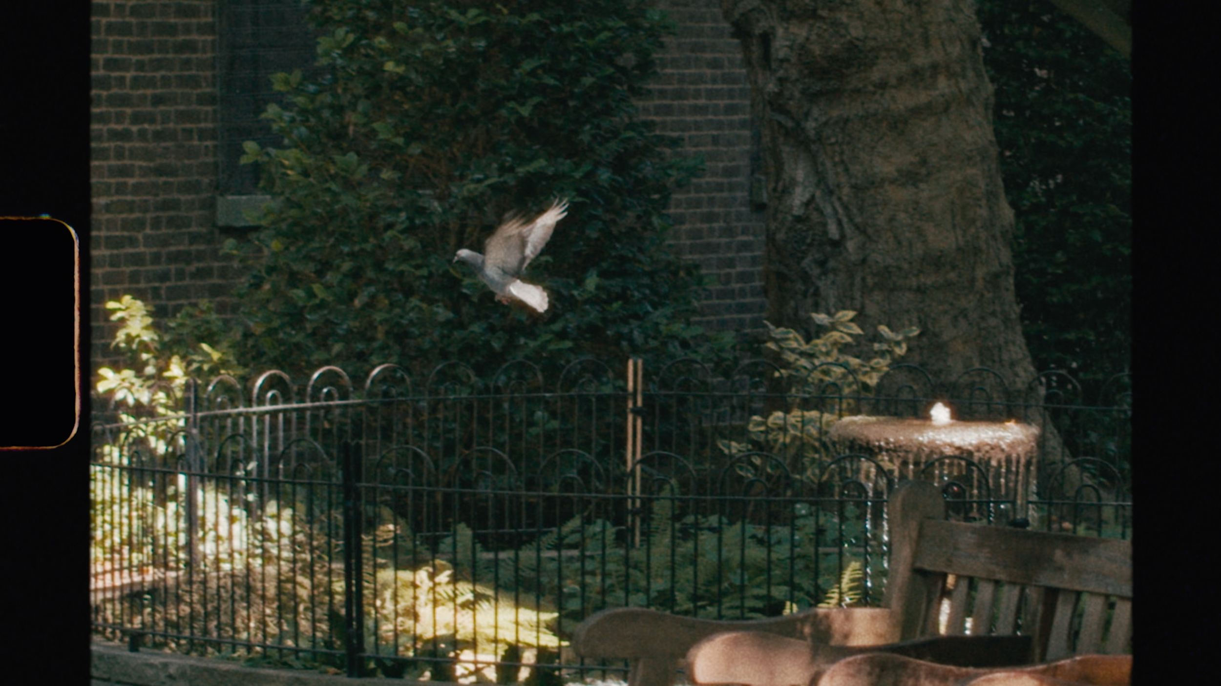 Pigeon flying in Postman's Park, super 8 still